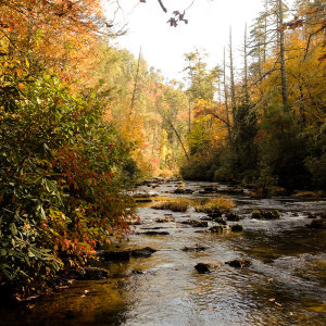 Creek along side the trail to Abrams Falls