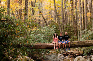 3 bumps on a log :) on the trail to Abrams Falls (5 mile round trip hike)