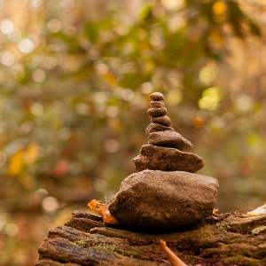 CAIRN Found these along the way to Ramsey Cascades.