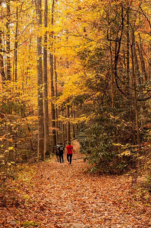 Read more about the article Travel To See The Brilliant Colorful Fall Foliage