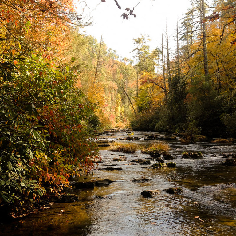 ArtistNamedBec | Landscape