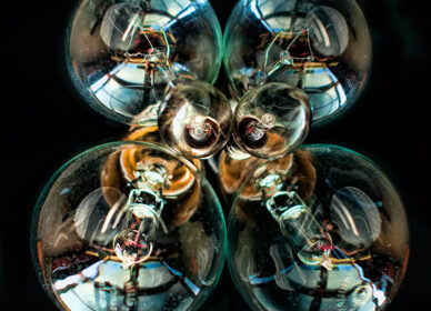 Still Life Photography