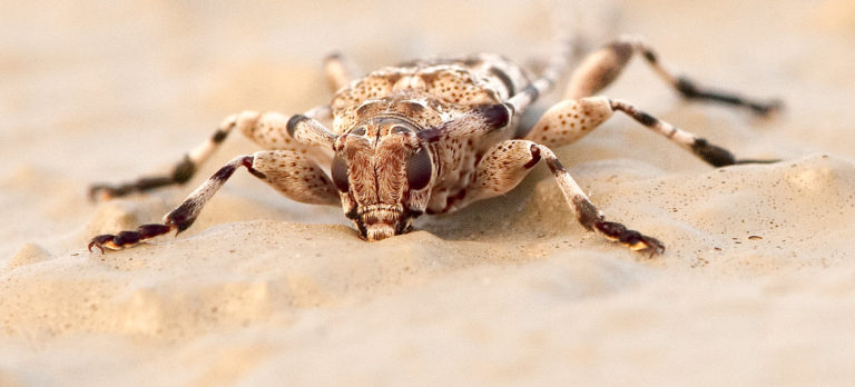 newsliderWEEK17_DSC1328