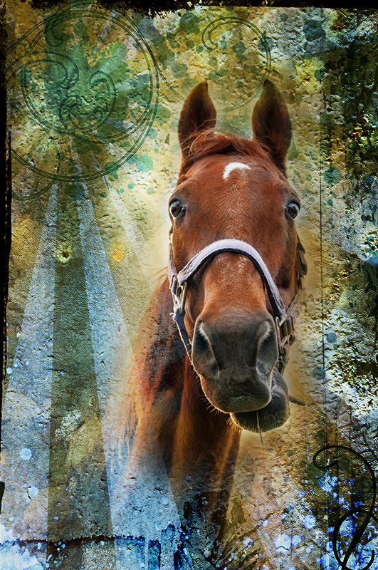 Digital Photo Art ~ Horse with Textures and Lighting (Exploring a Layer Stack)
