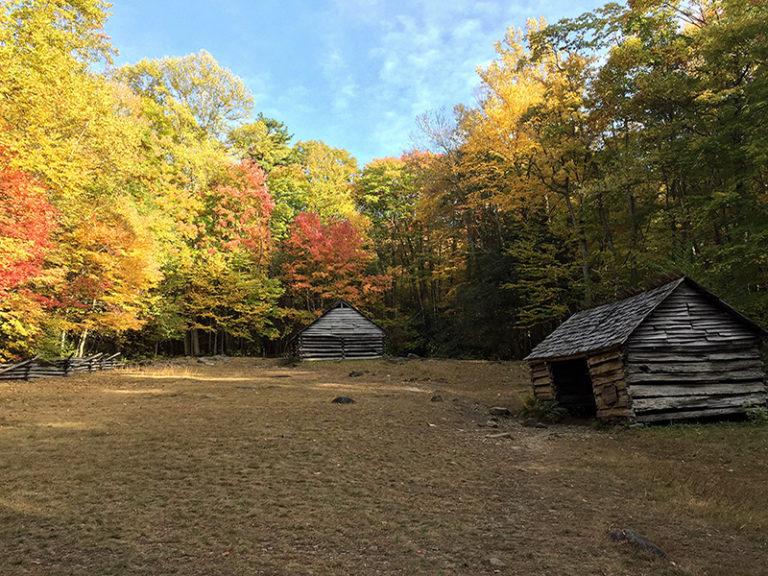 Grunge Landscapes ~ Cabin 3 ~ Before