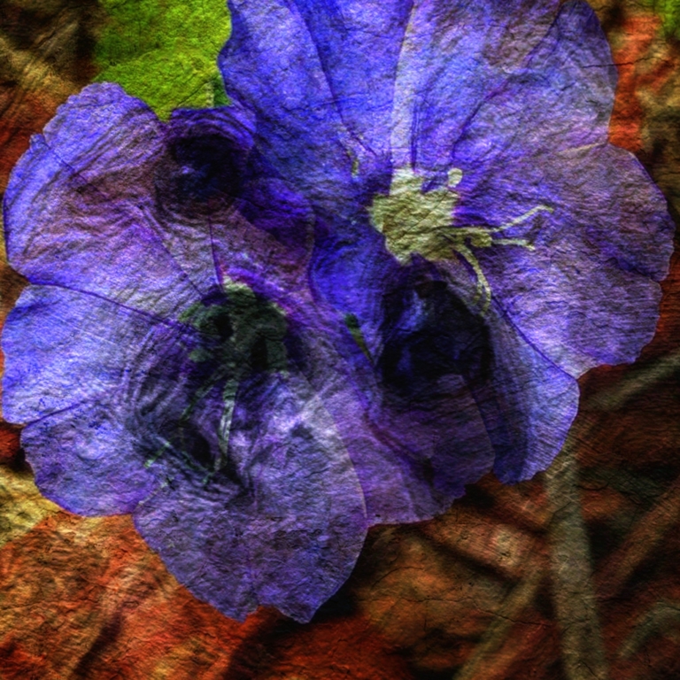 ArtistNamedBec | IPhoneography