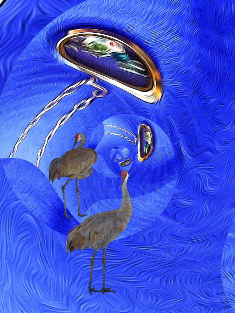 ArtistNamedBec | IPhoneography