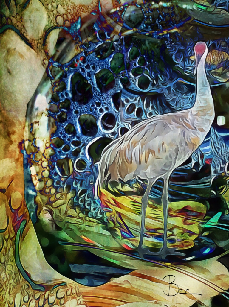 ArtistNamedBec | IPhoneography