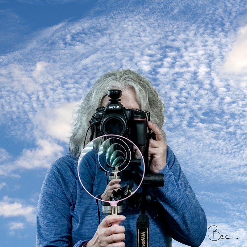 Reflections | Visual Diary