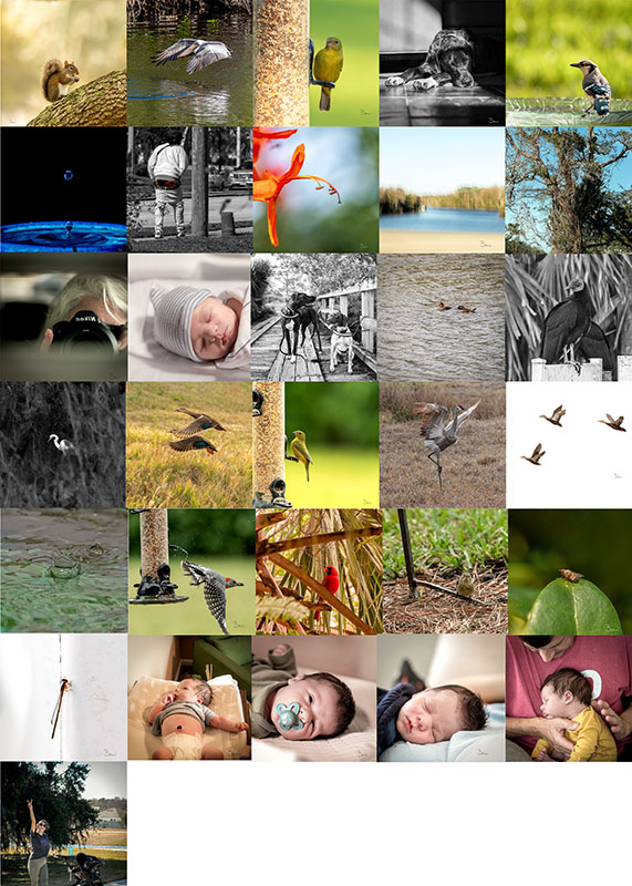 Read more about the article Complete A Visual Diary: Unexpected Daily Photos Of Anything