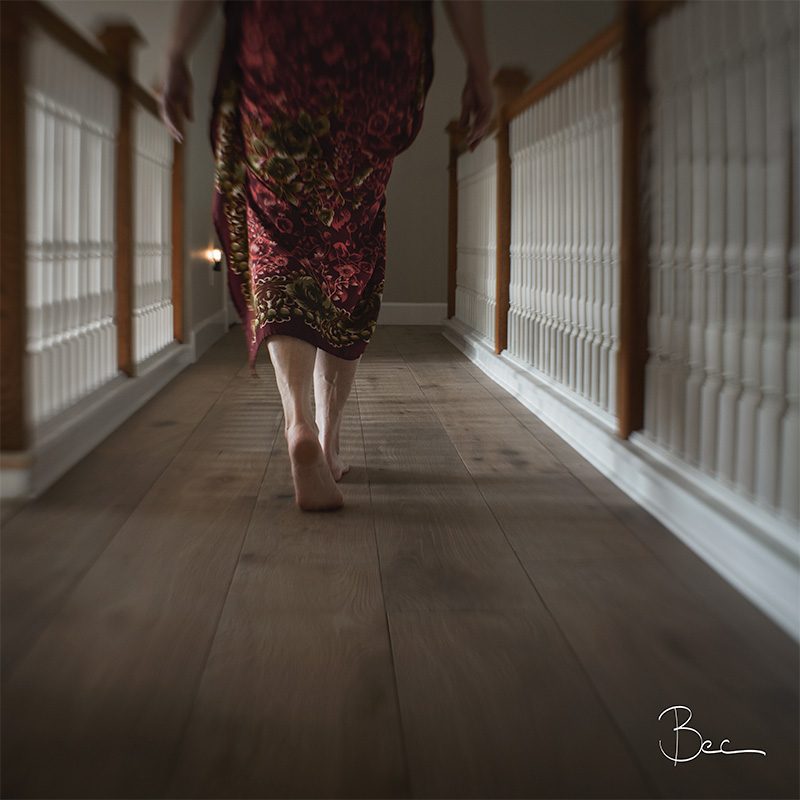 Cat Walk | Lensbaby Composer Pro Sweet 35