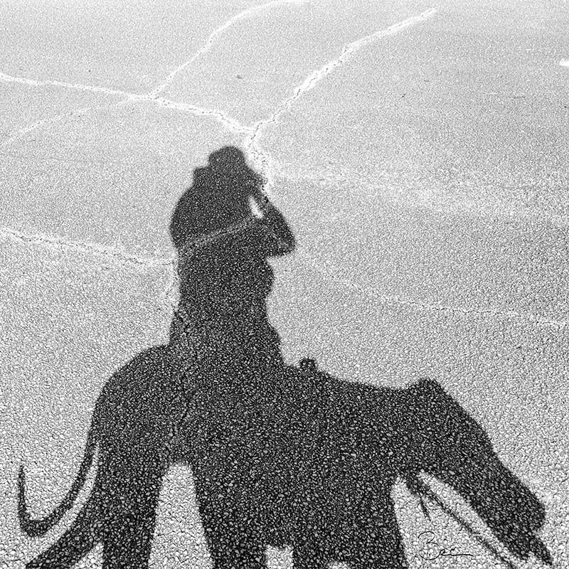 Day06022025_ShadowFacelessSelfPortrait_8505486insta Shadow | Visual Diary