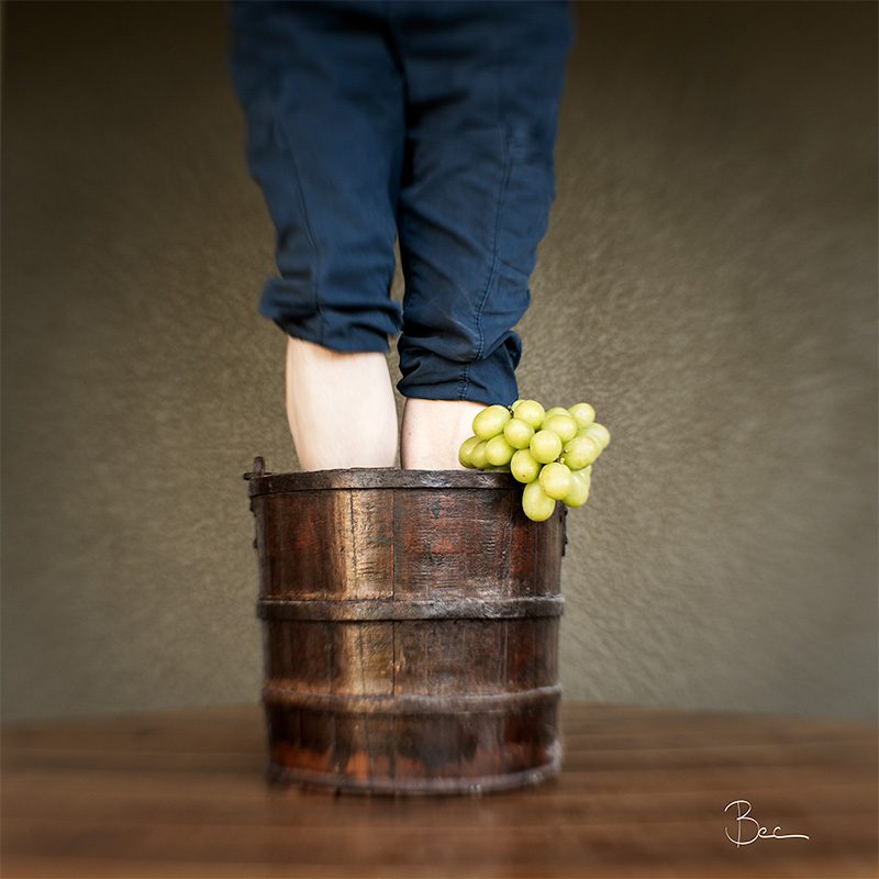 Grape Stomping | Lensbaby Composer Pro Sweet 35