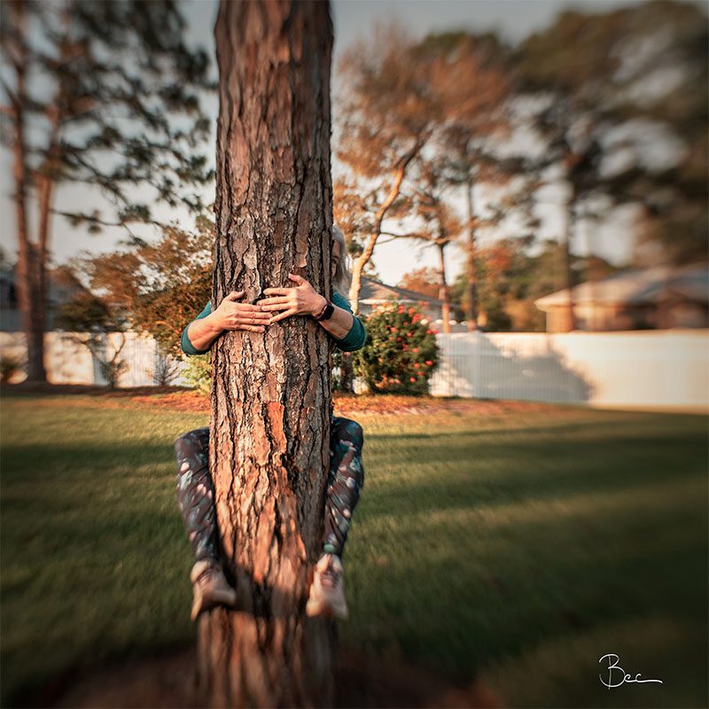 Tree Hugger | Lensbaby Composer Pro Sweet 35