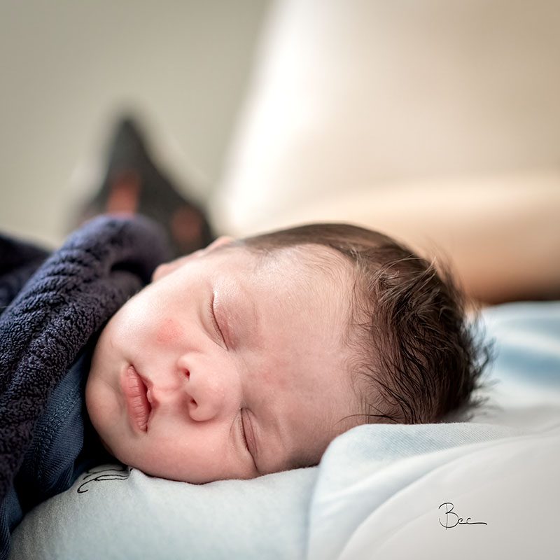 Day29012025_8504862insta Baby napping on mother | Daily Photo Visual Diary