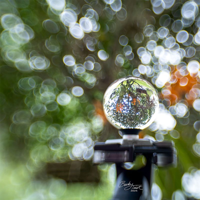 Lens Ball sitting on tripod with bokeh background | Lensbaby Composer Pro Sweet 35